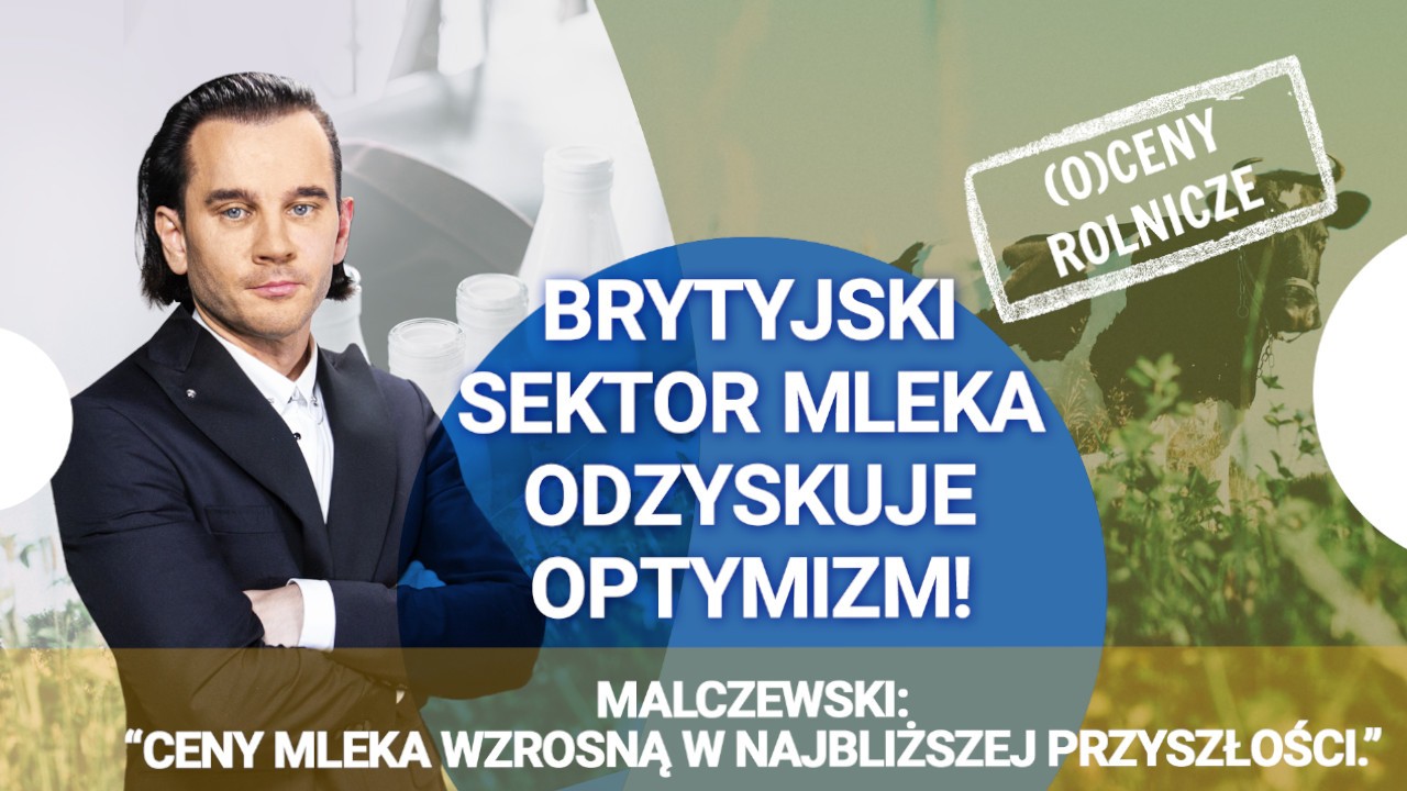 Brytyjski sektor mleka odzyskuje optymizm! Ekspert: Ceny mleka wzrosną w najbliższej przyszłości