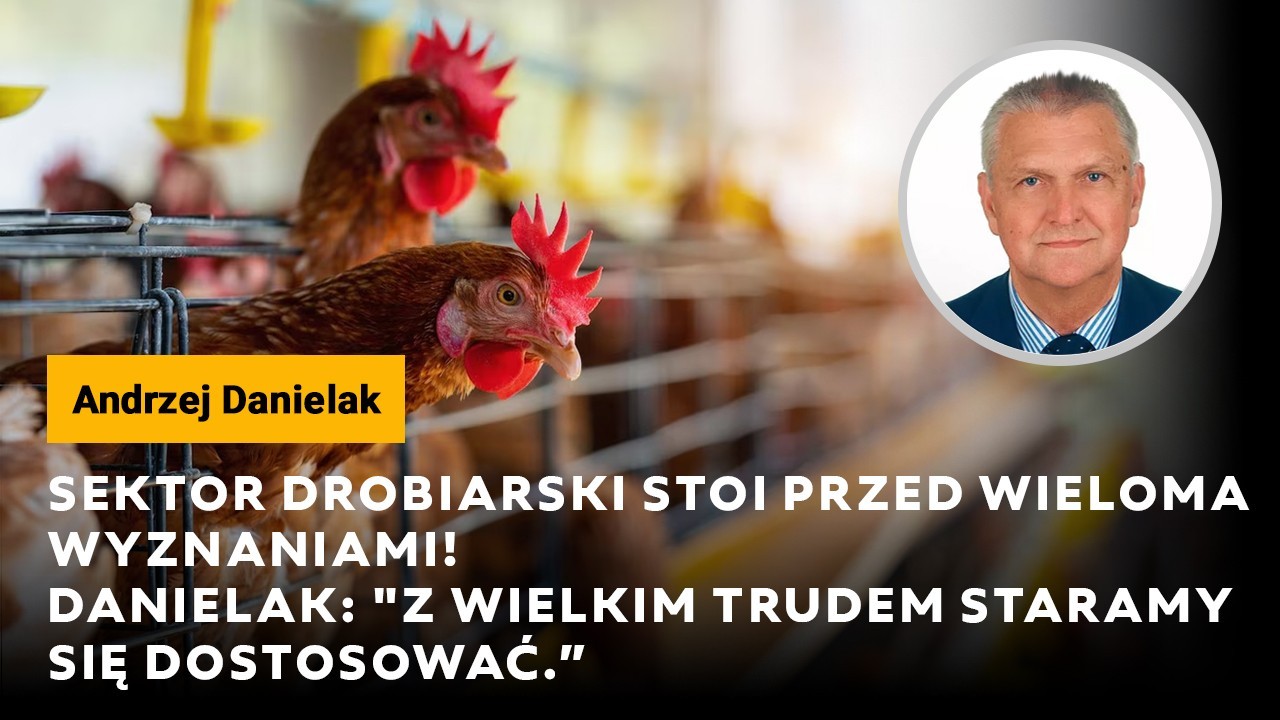 Sektor drobiarski stoi przed wieloma wyzwaniami! Danielak: Z wielki trudem staramy się dostosować