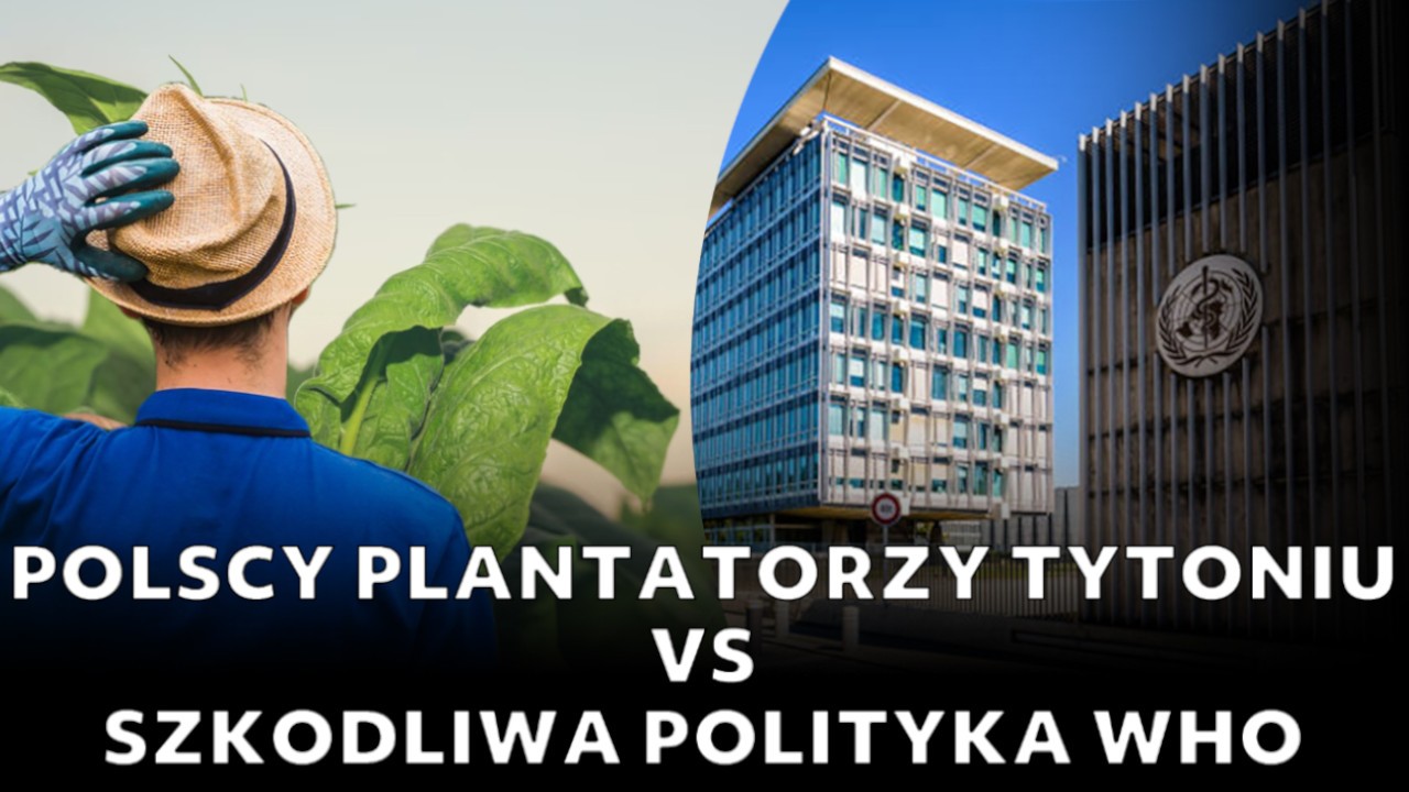 Czy producenci tytoniu padną ofiarą szkodliwej polityki międzynarodowej?