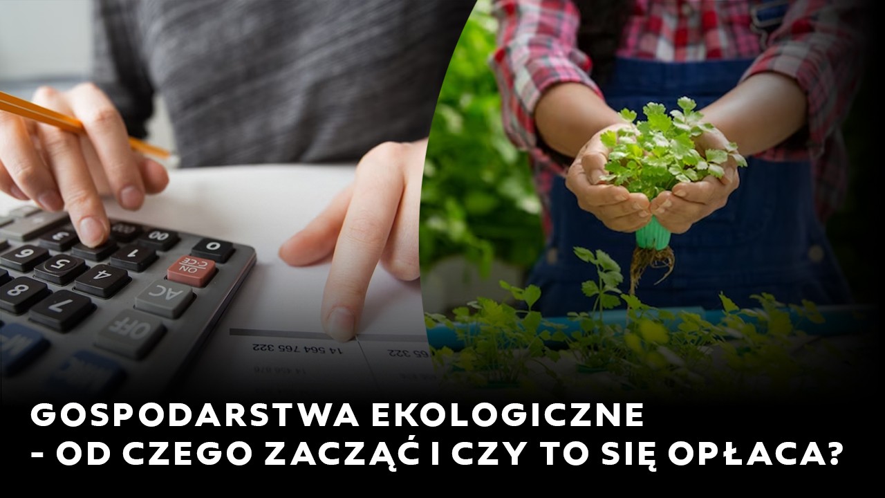 Gospodarstwo ekologiczne – od czego zacząć i czy to się opłaca?