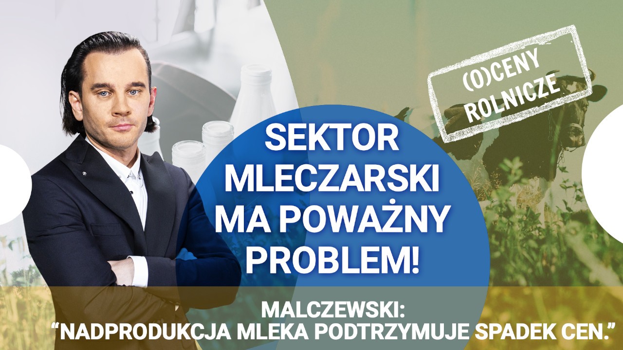 Nadprodukcja mleka utrzymuje spadek cen! Ekspert: Branża mleczarska ma poważny problem
