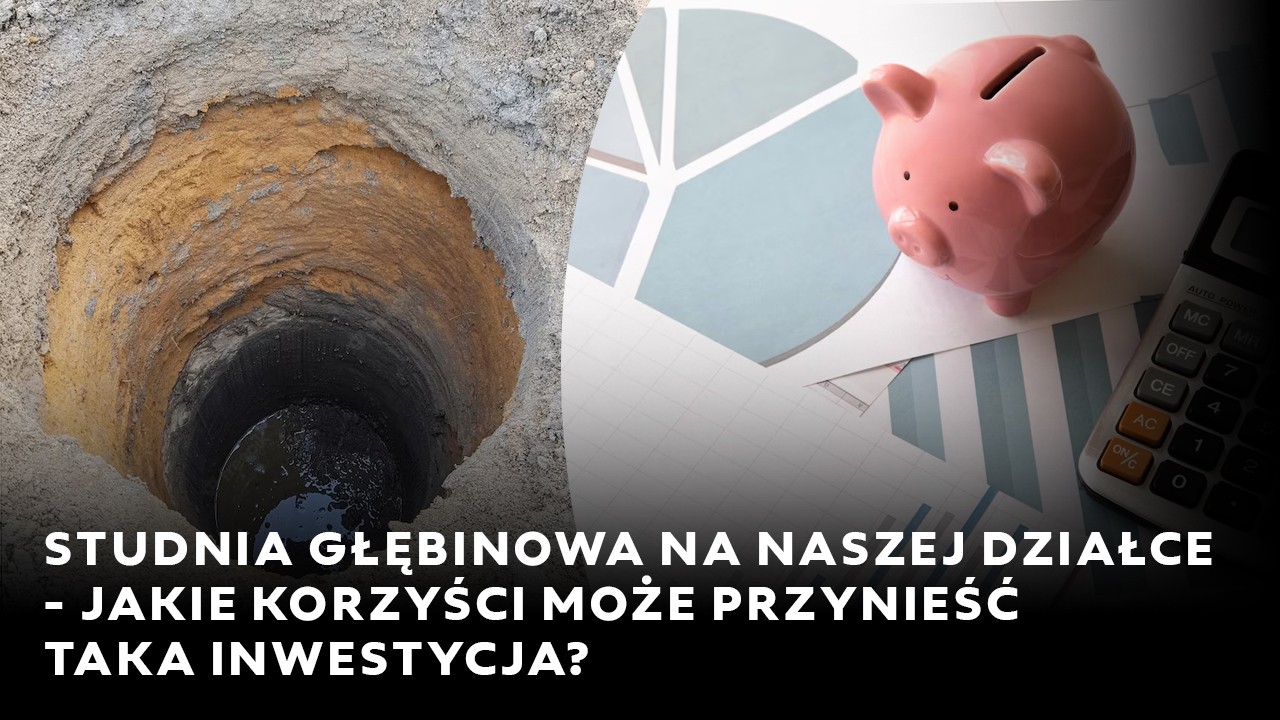 Studnia głębinowa na naszej działce – jakie korzyści może przynieść taka inwestycja?