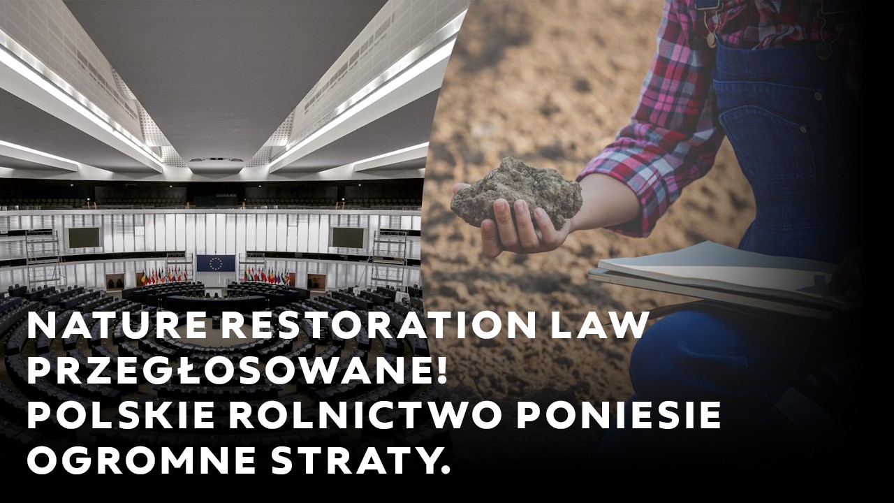 Nature Restoration Law przegłosowane! Polskie rolnictwo poniesie ogromne straty