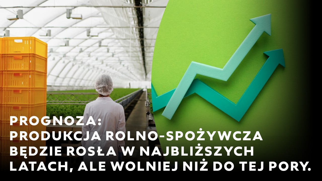 Prognoza: Produkcja rolno-spożywcza będzie rosła w najbliższych latach, ale wolniej niż do tej pory