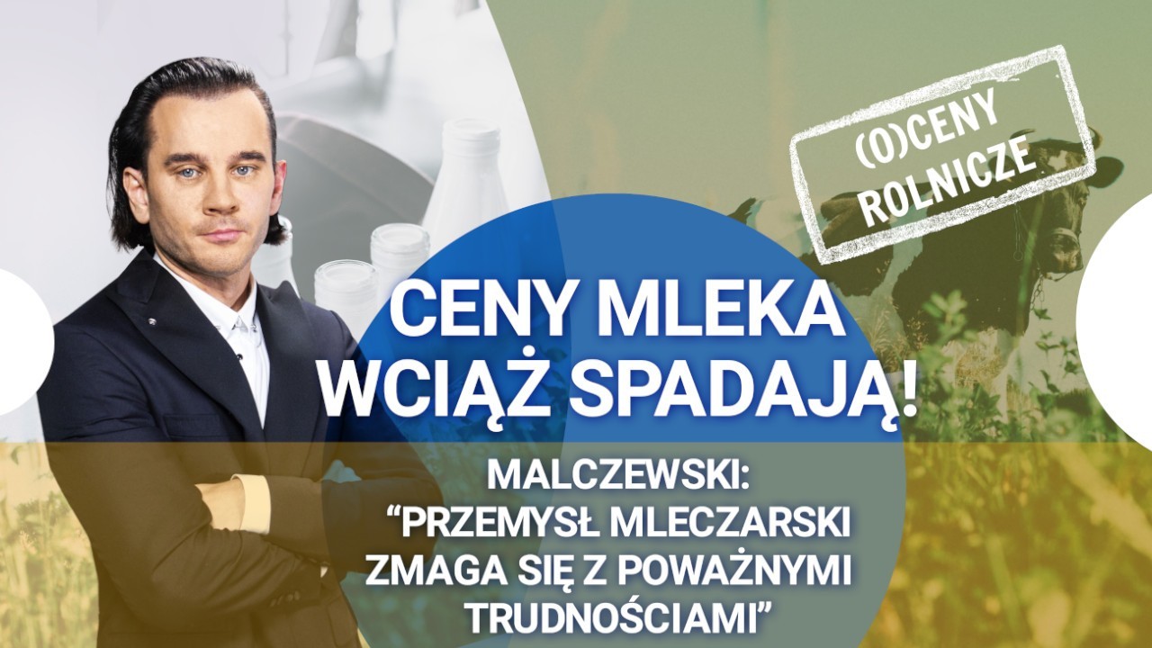 Przemysł mleczarski przechodzi trudny okres! Ceny mleka nadal notują spadki