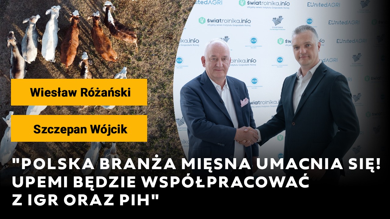 Polska branża mięsna umacnia się! UPEMI będzie współpracować z IGRem oraz PIH