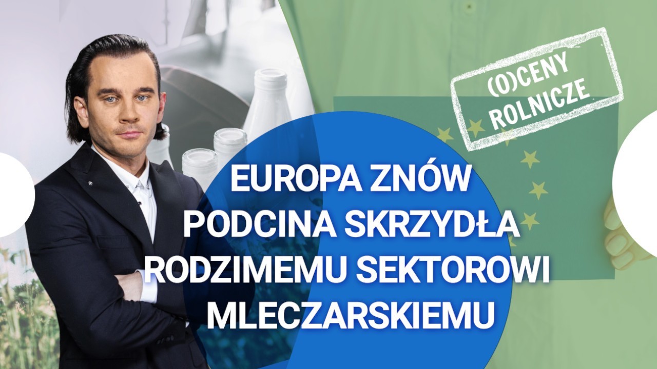 Sektor mleczarski cierpi przez politykę UE! Ekspert: Inni gracze szybko wykorzystują swoją szansę.