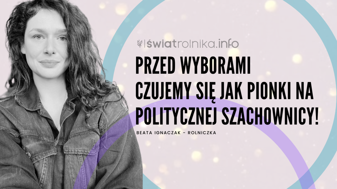 Przed wyborami czujemy się jak pionki na politycznej szachownicy!