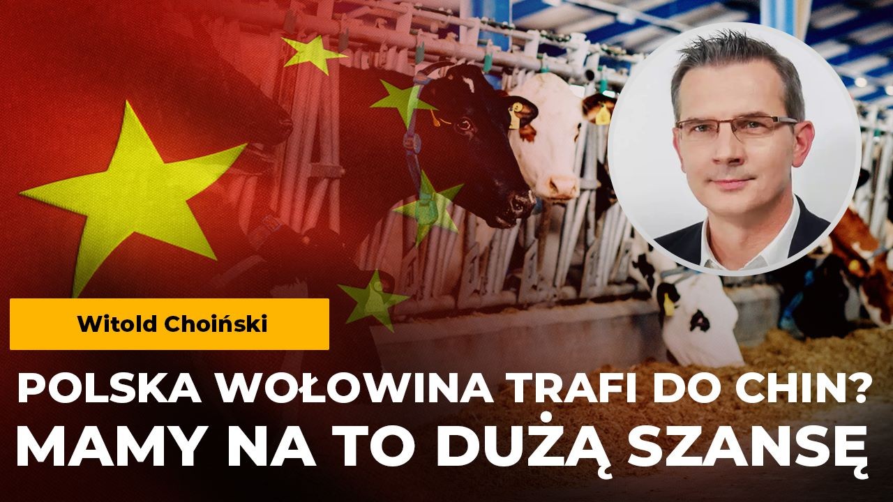 Polski eksport wołowiny trafi do Chin? Choiński: Mamy na to dużą szansę