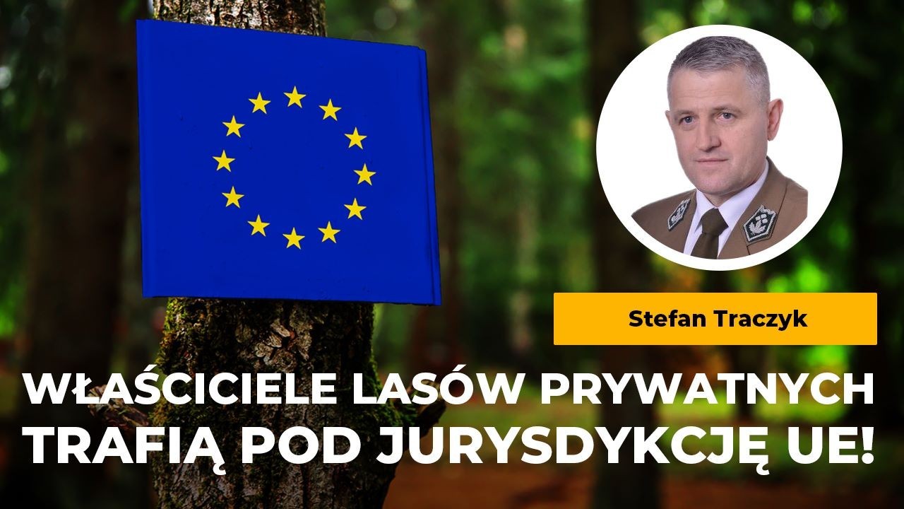 Traczyk: Właściciele lasów prywatnych będą podlegać pod unijnych urzędników