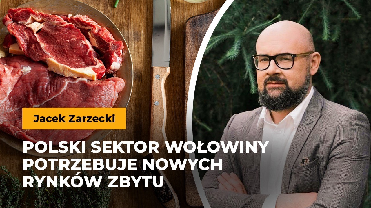 Zarzecki: Polski sektor wołowiny potrzebuje nowych rynków zbytu