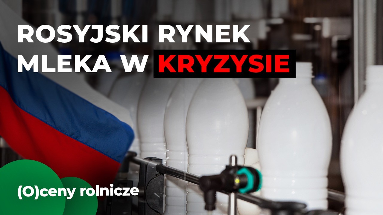 Rosyjski rynek mleka w kryzysie. Sankcje uderzyły w producentów