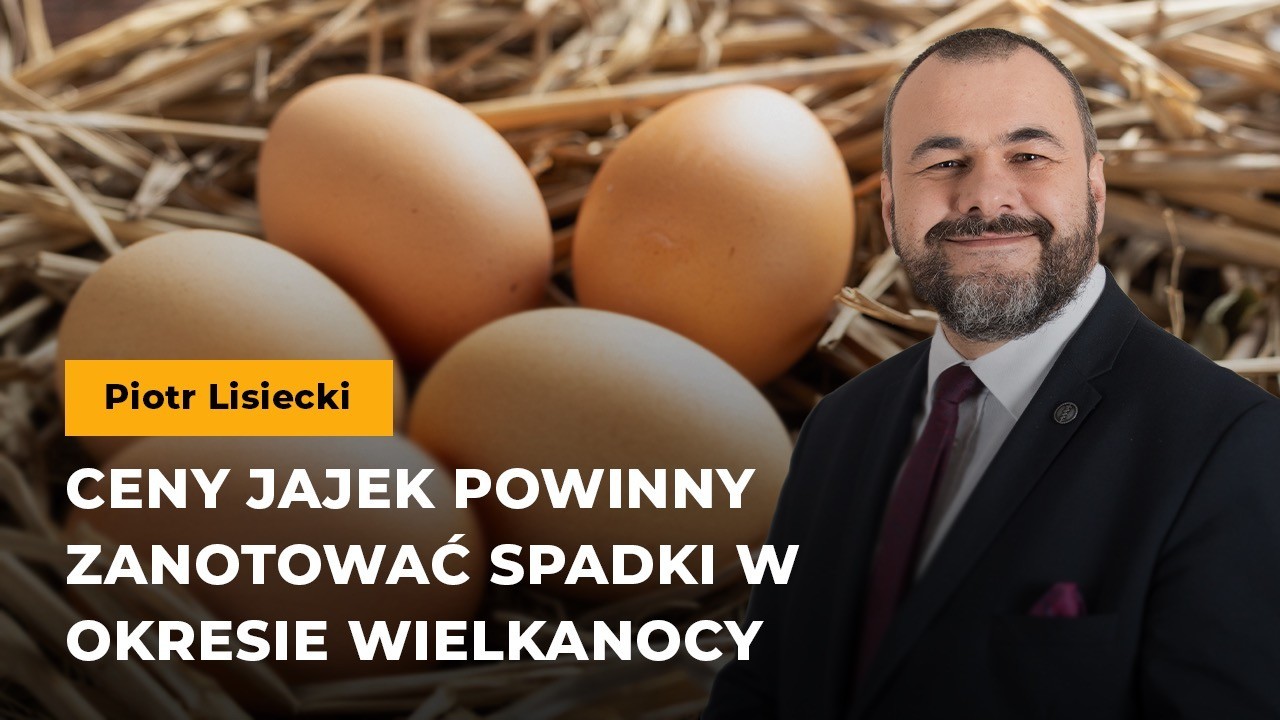 Lisiecki: Ceny jajek powinny zanotować spadki w okresie Wielkanocy