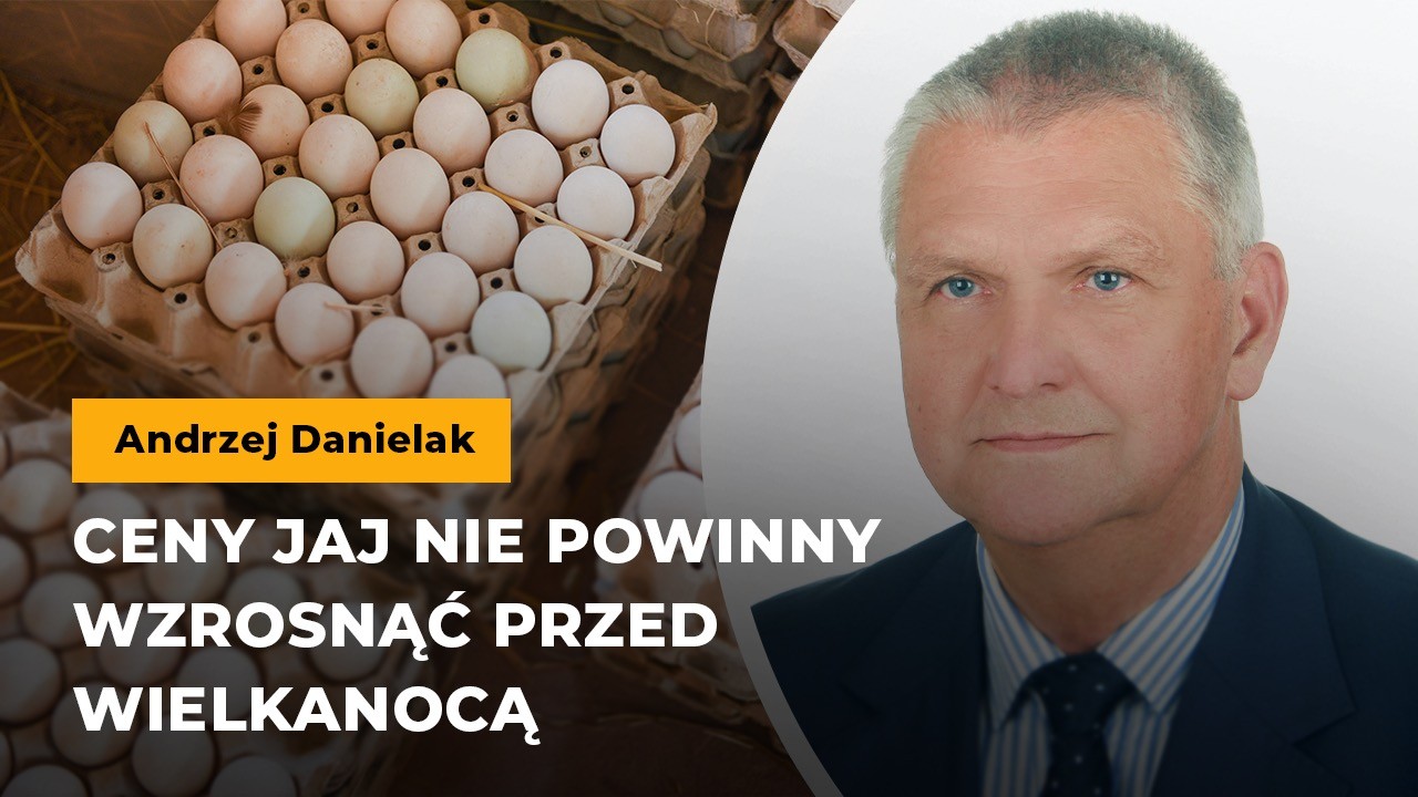 Danielak: Ceny jaj nie powinny znacząco wzrosnąć przed Wielkanocą