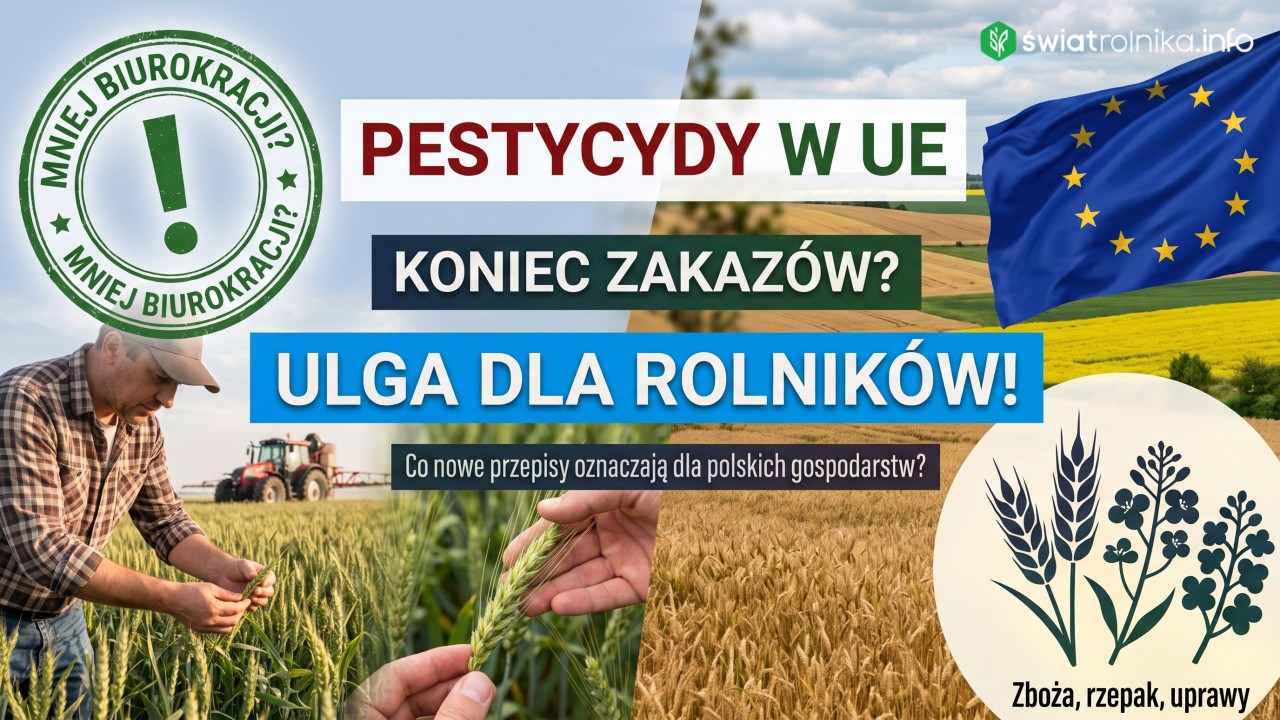 Unia luzuje przepisy o ochronie roślin. Szansa dla gospodarstw, gniew ekologów.