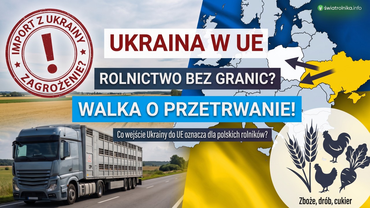 1,1 mld euro dla Ukrainy i spór o dopłaty. Bruksela chce ograniczeń dla ukraińskiego rolnictwa
