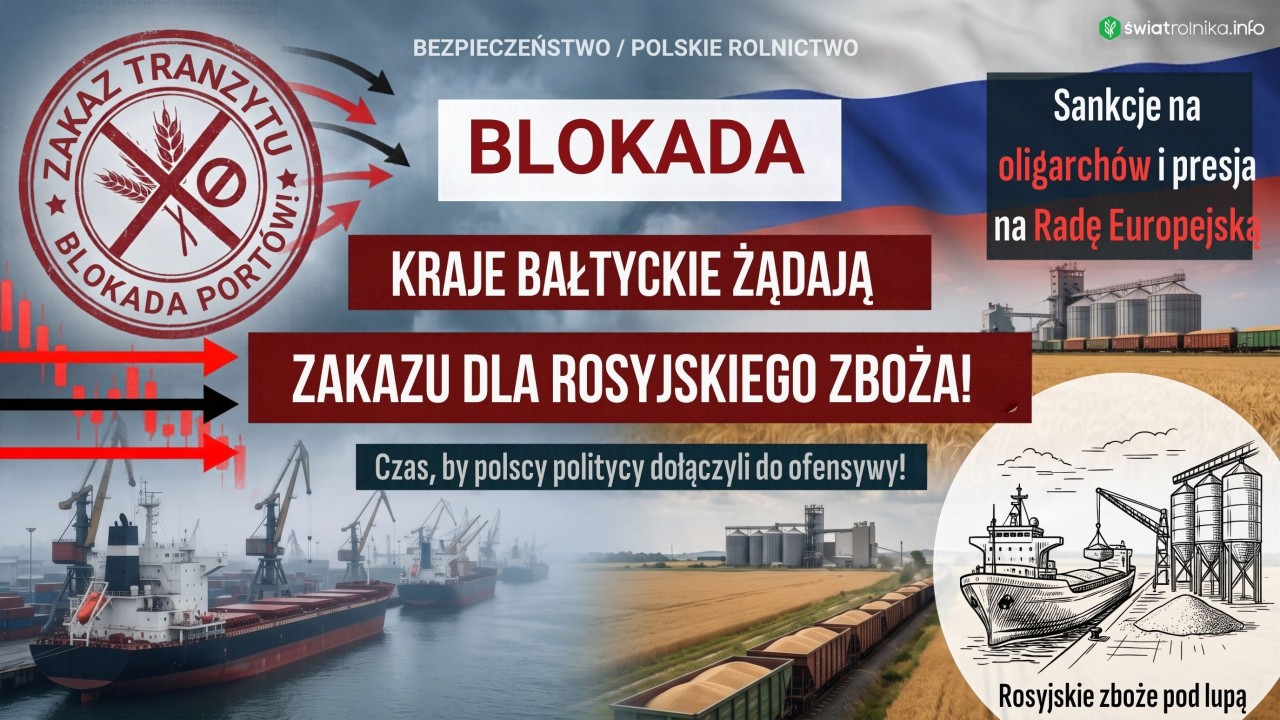 Kraje bałtyckie żądają unijnego zakazu dla rosyjskiego zboża.