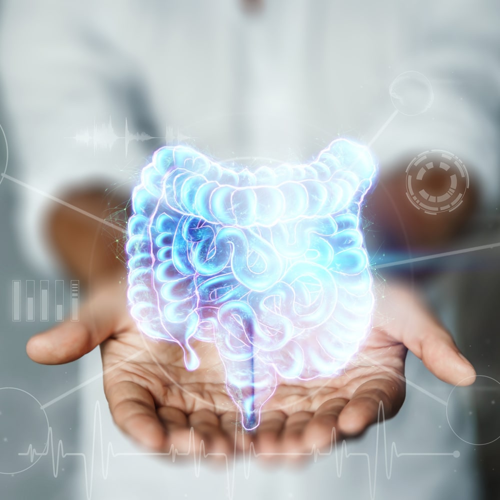 The interaction of gut microbiome and drugs