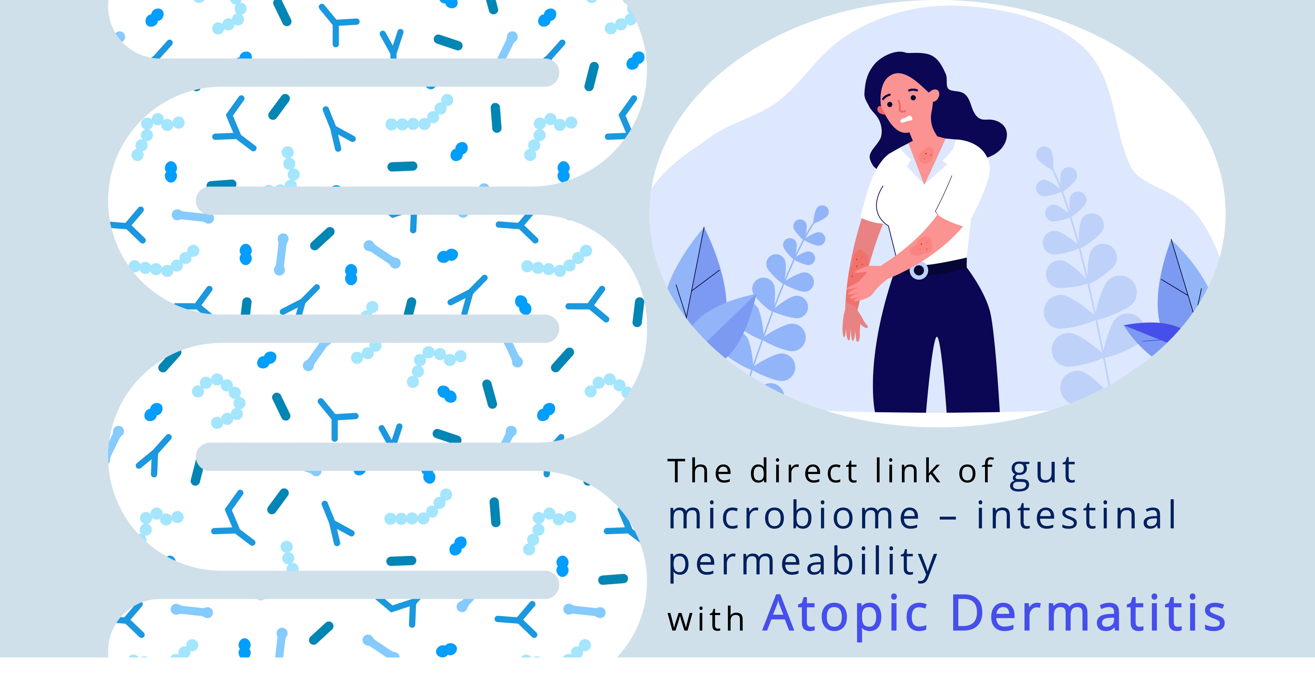 Atopic dermatitis and the gut skin axis mice model
