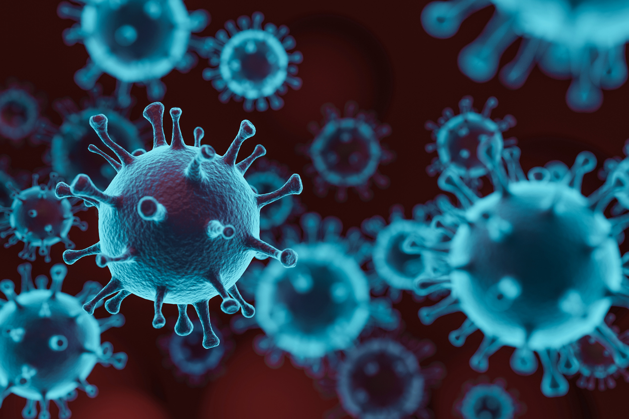 Development of the COVID-19 infection model: a preclinical study of a new drug Rafamin