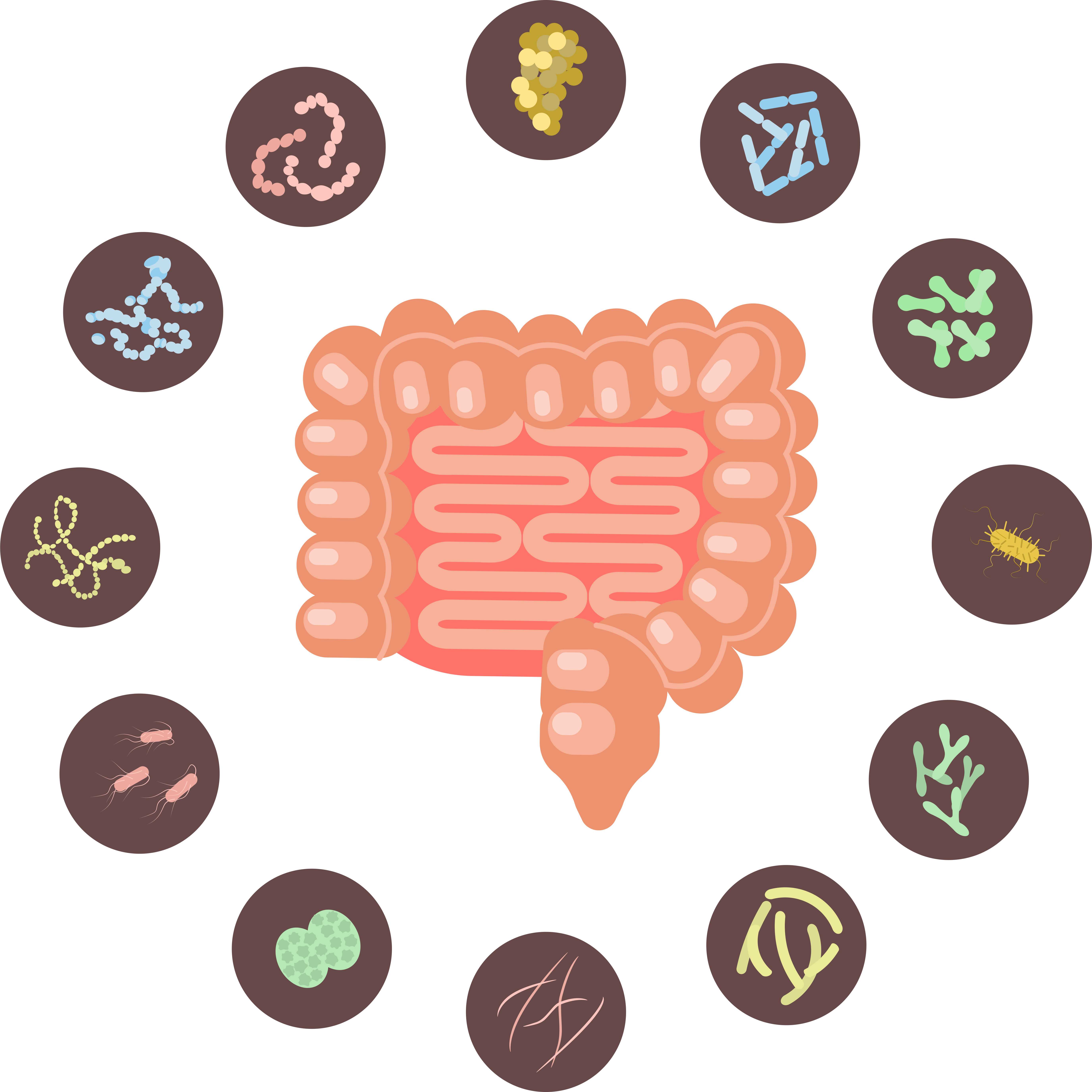 The dual side of antibiotics