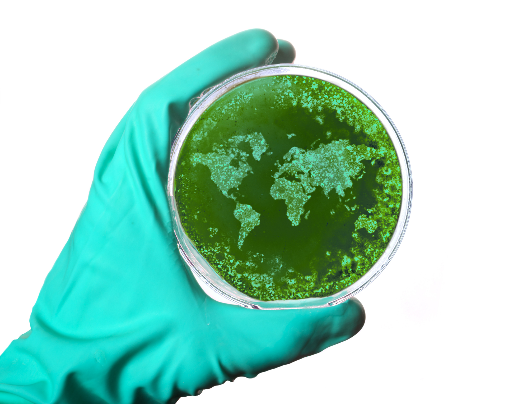Killer Fungi and Climate Change: When Science fiction Becomes Reality