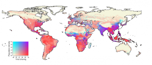 The link between climate change and infectious diseases