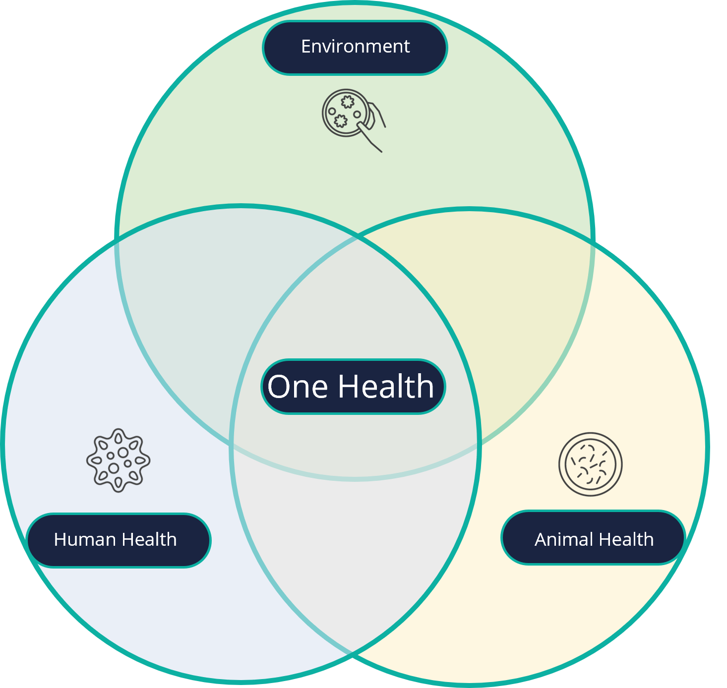 The One Health concept and its two pillars