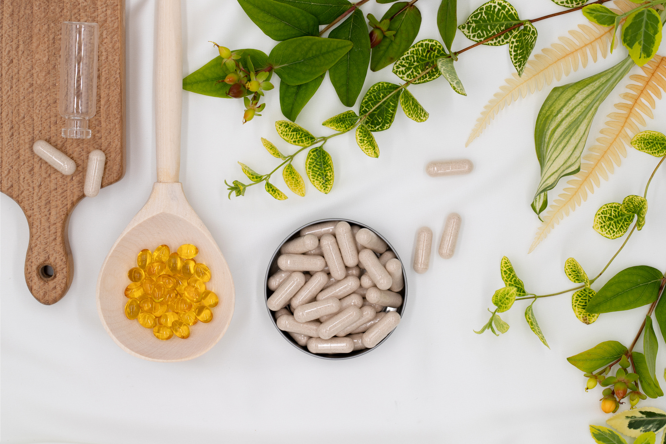 Prebiotics and Microbiota Modulation: Murine Validation and Preclinical Solutions at Vibiosphen