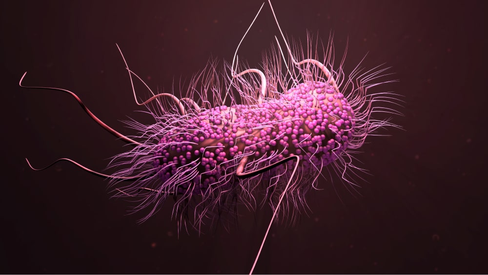 The threatening crisis of ESKAPE pathogens
