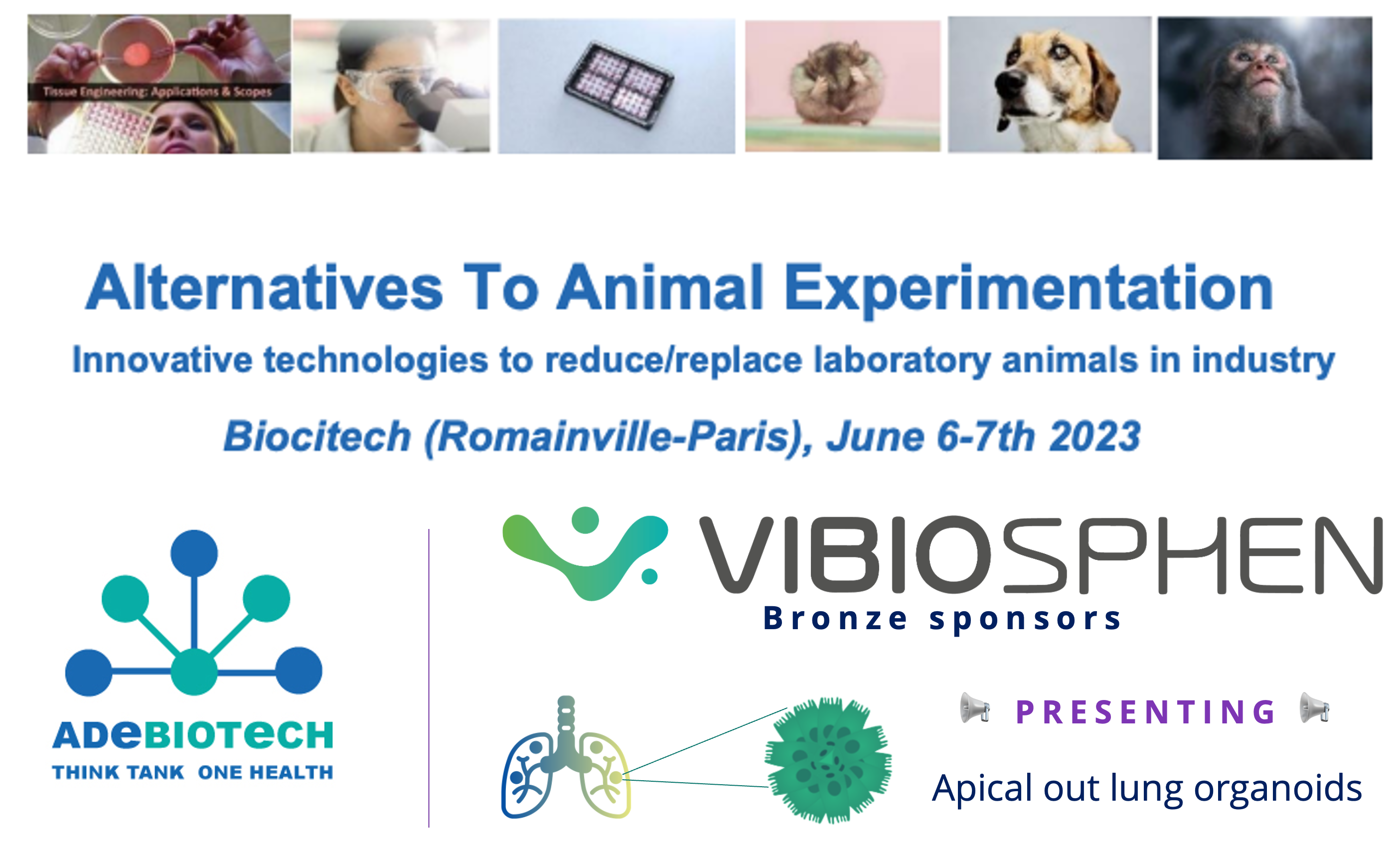 Alternative technologies and models (NAMs) to Reduce the use of laboratory animals in Industry