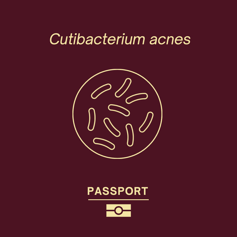 C. acnes's passport