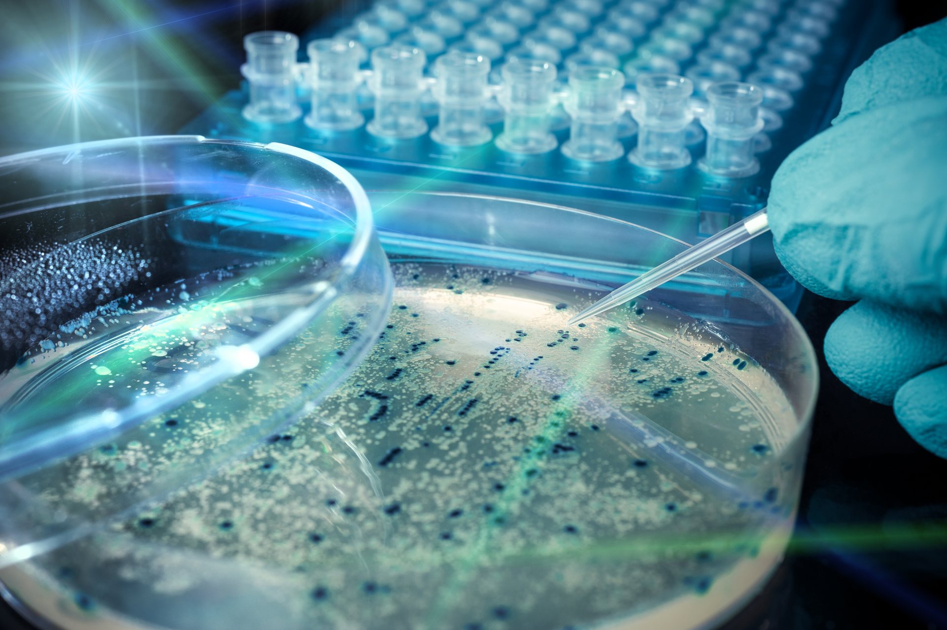 The problem behind the antimicrobial industry