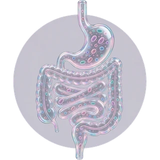 Glass stomach and intestines icon for gut health testing