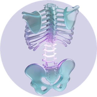 Glass spine and pelvis icon for back pain and posture