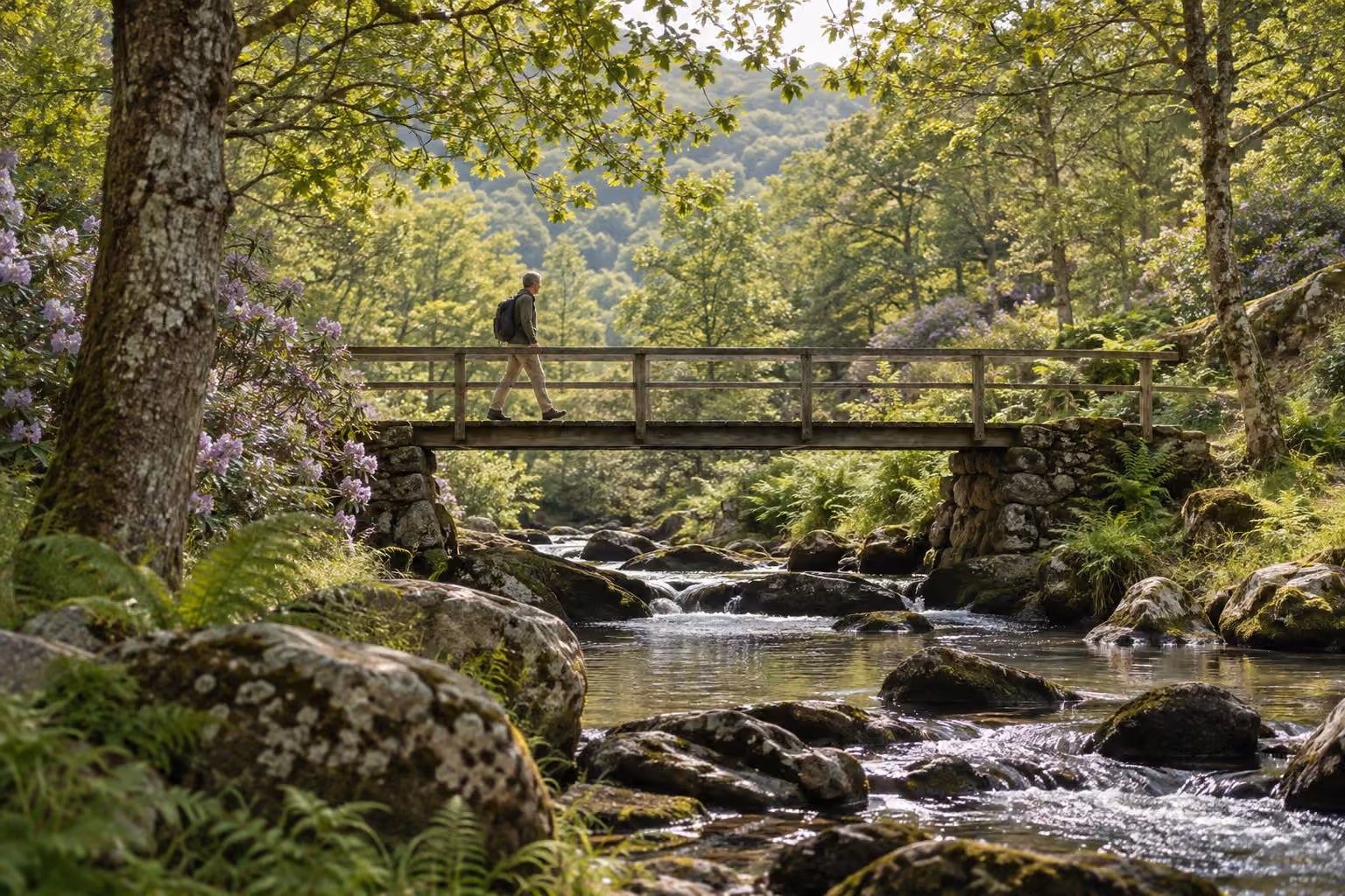 A person walking over a wooden footbridge in the woods