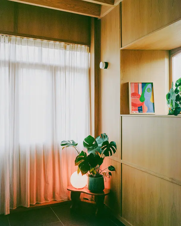 Corner of a timber-lined room with a plant and glowing lamp beside sheer curtains