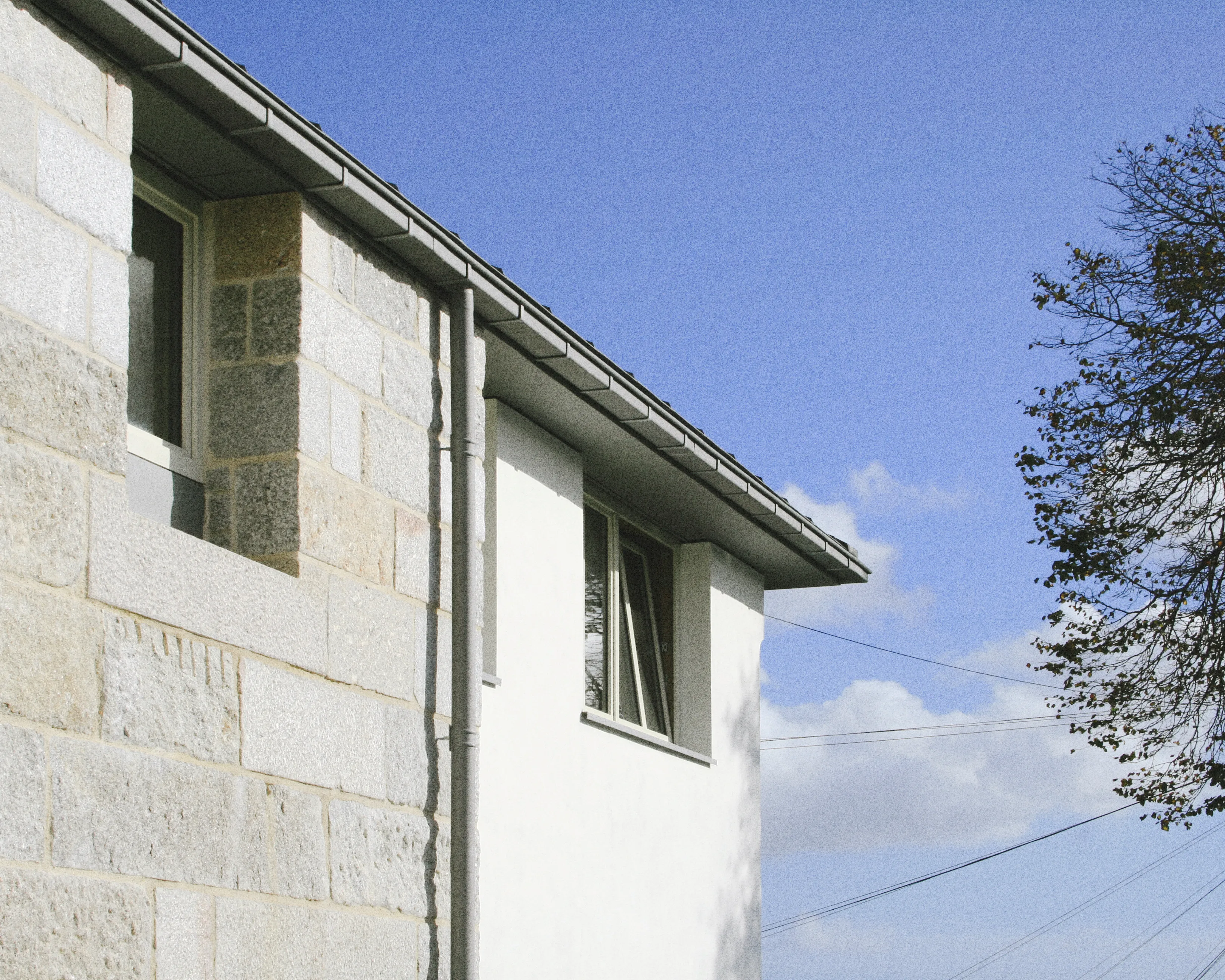 Timber-clad house with a zinc roof and large dormer windows