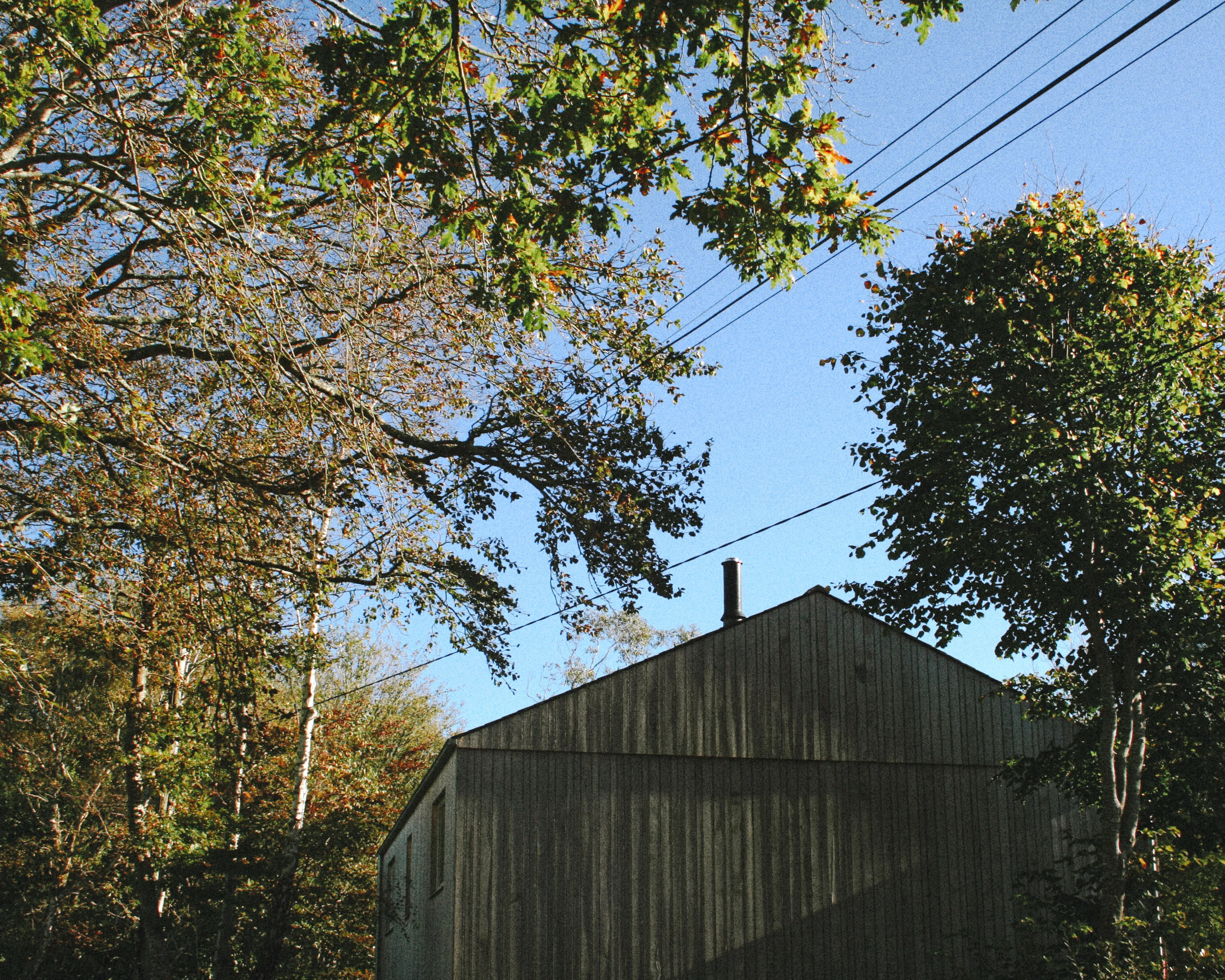 Timber-clad house at the end of a country lane