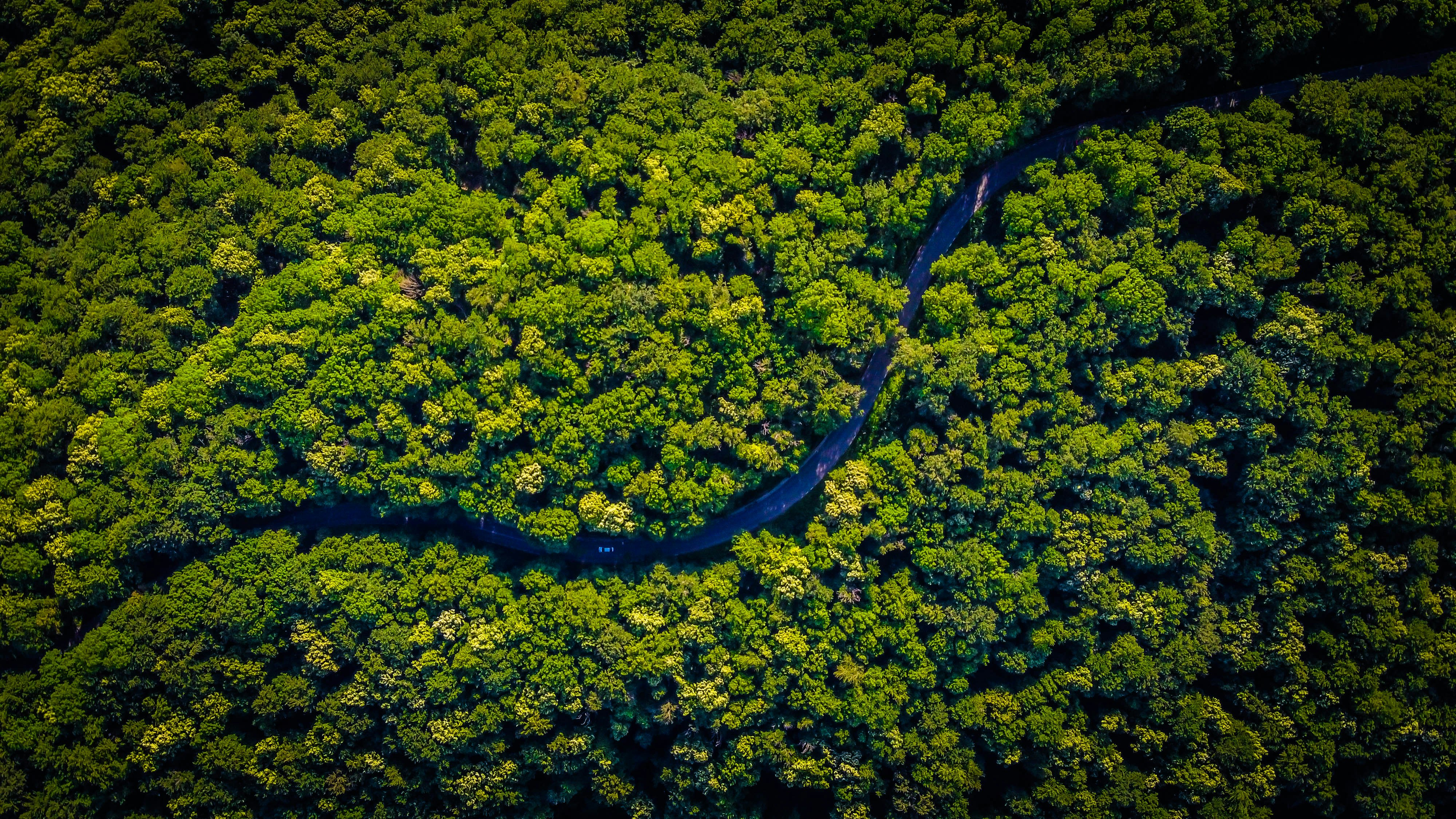 Fleuve et forêt en Amazonie