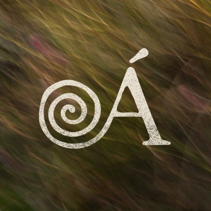 A textured white spiral design followed by the letter Á on a blurred background of green and brown grassy plants with hints of purple.