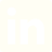 LinkedIn logo linked to Piropo's LinkedIn account