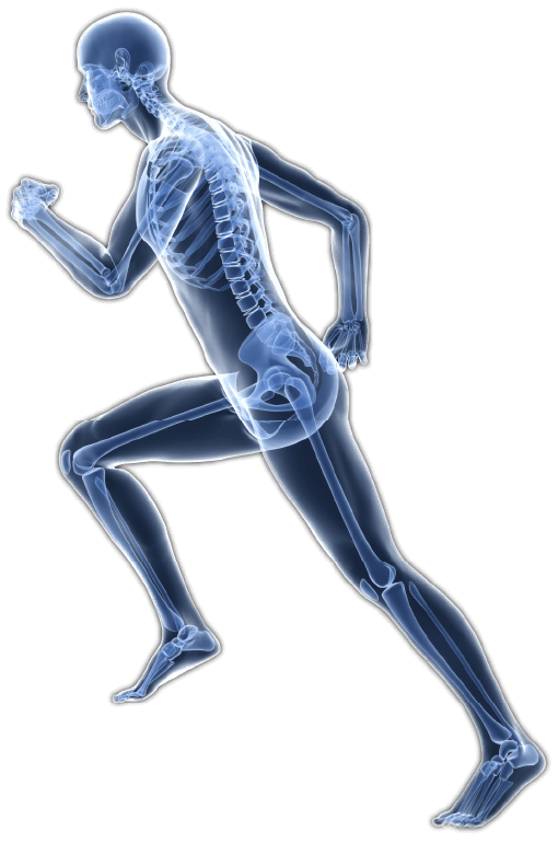Advanced Corrective Chiropractic Graphic