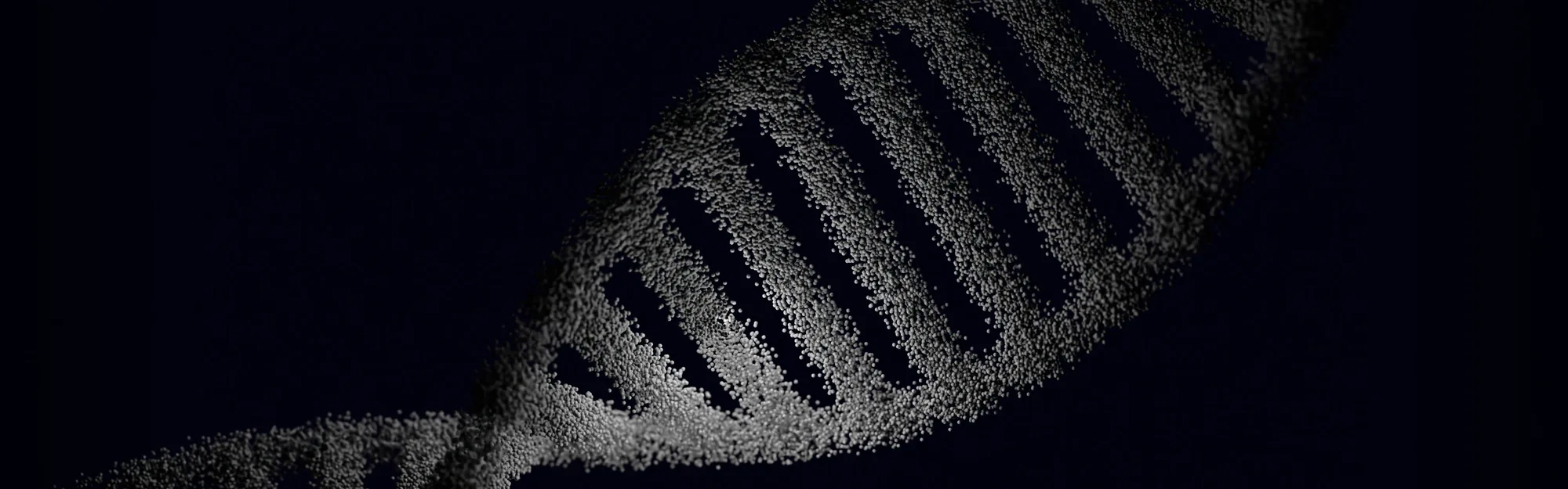 DNA double helix