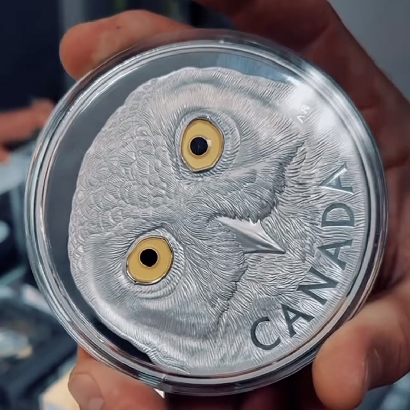 A rare collectible coin held in hand