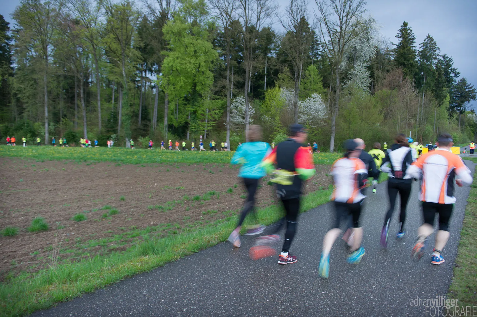 NightRun Wallisellen 2016: Läufer in Bewegung auf einem Feldweg, leicht verwischt