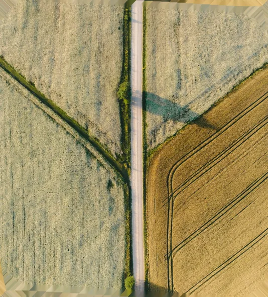 Vue aérienne de champs cultivés traversés par une route