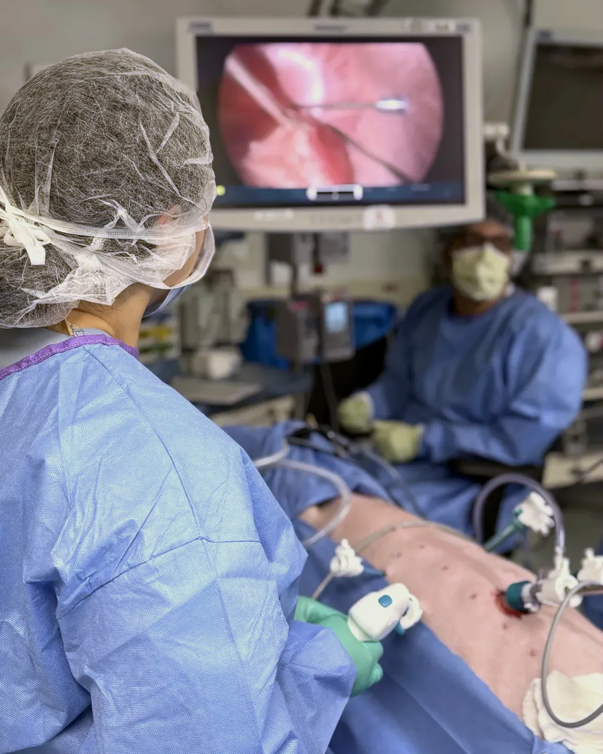 Surgical team during a preclinical laparoscopic study