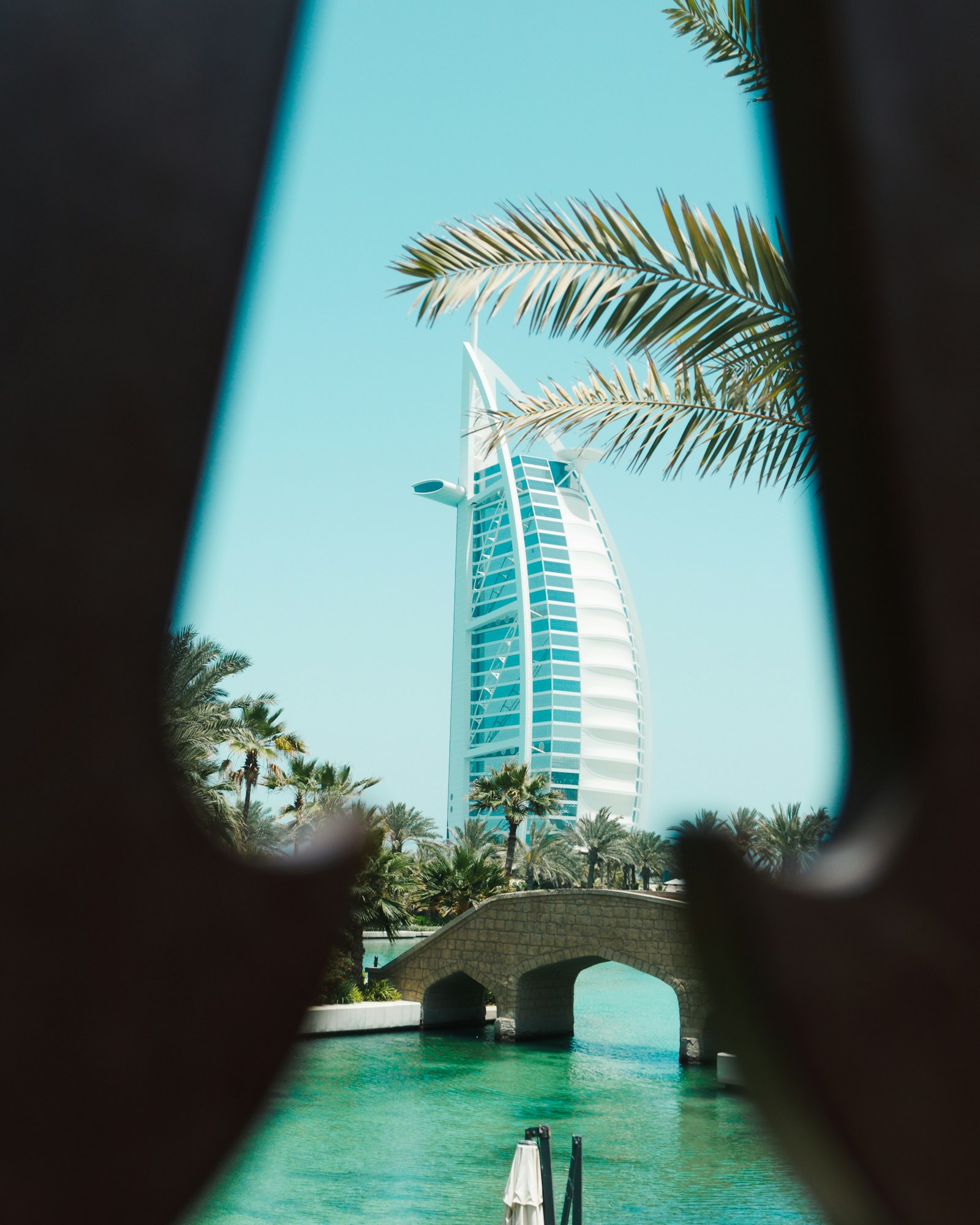 Dubai city and residential surroundings