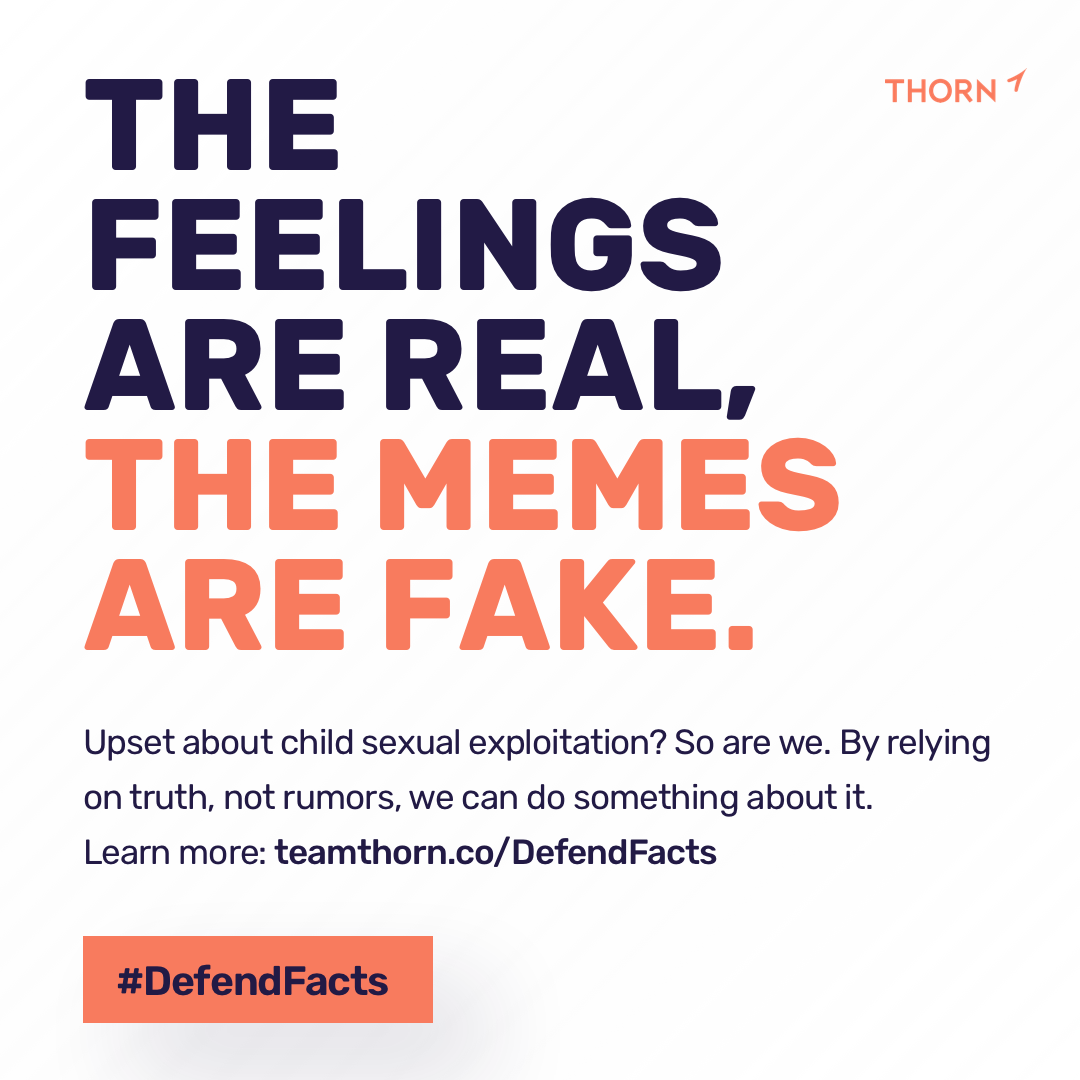 Thorn: Misinformation Campaign